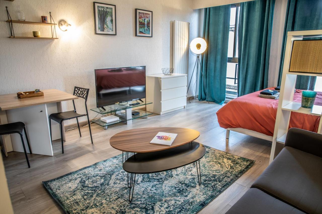 Grand Studio Stan Nancy - Calme, Cosy, Lumineux Apartment Luaran gambar